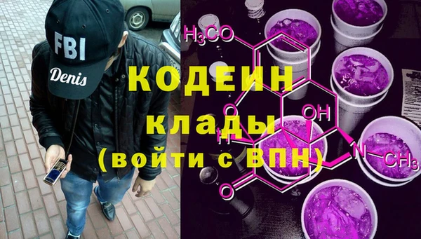 индика Новокубанск