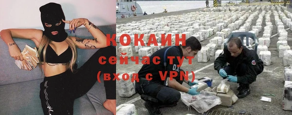 шишки Валуйки
