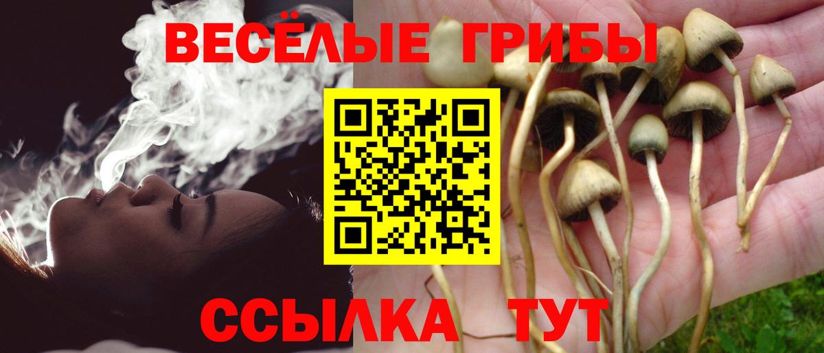 Псилоцибиновые грибы прущие грибы Нефтекамск