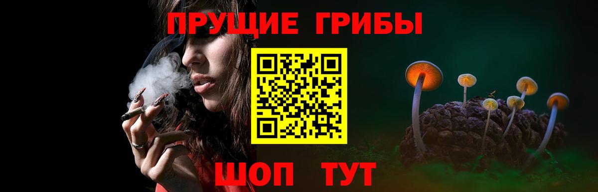 наркота  Галлюциногенные грибы Psilocybe  Вход с VPN  Псилоцибиновые грибы GOLDEN TEACHER  Нефтекамск 